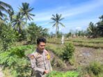c4606050-afb5-47cd-bf9e-057ad4cf3c0f
